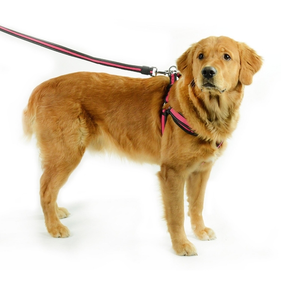 Jump Other - 🐶Jump Step in Harness in Pink